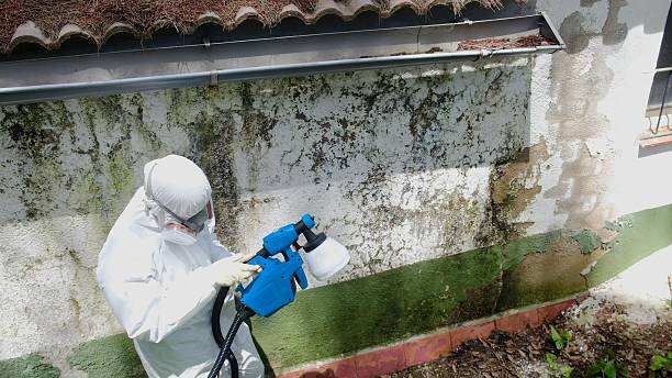 Top rated local Attic Mold Remediation specialists in Churchton, MD